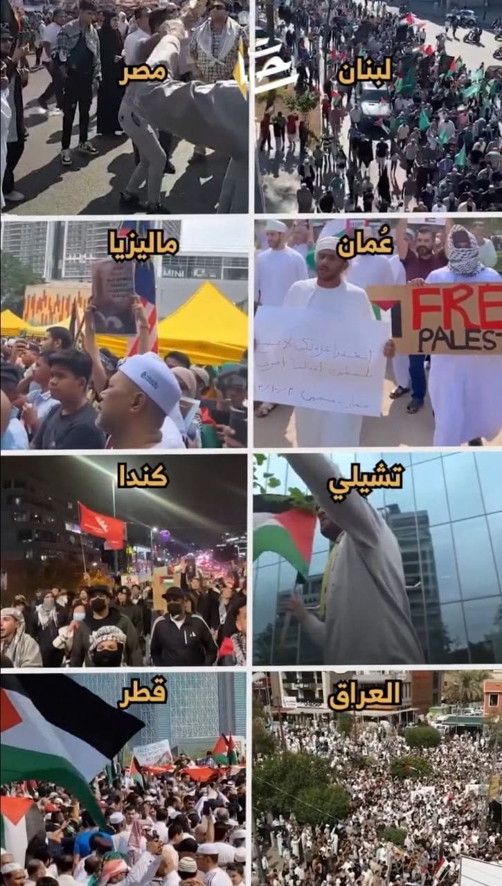 IMG 20231020 230212 785