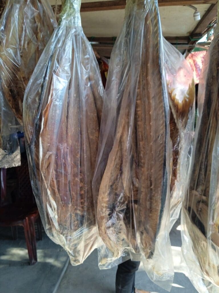 photo 2023 12 28 12 41 47