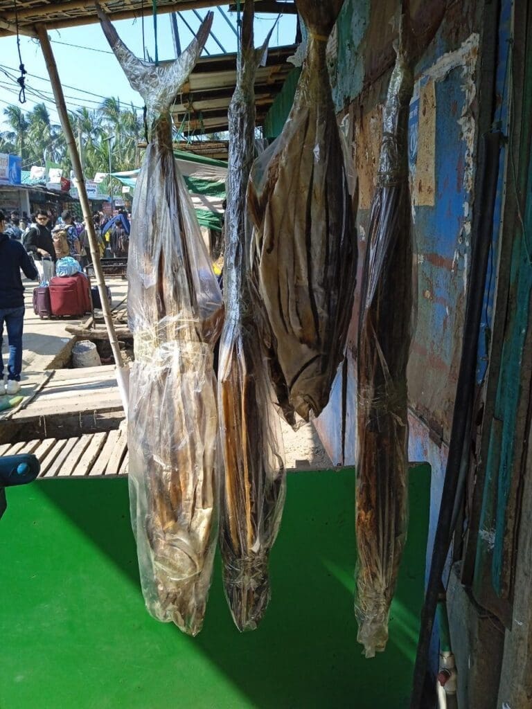 photo 2023 12 28 12 41 50