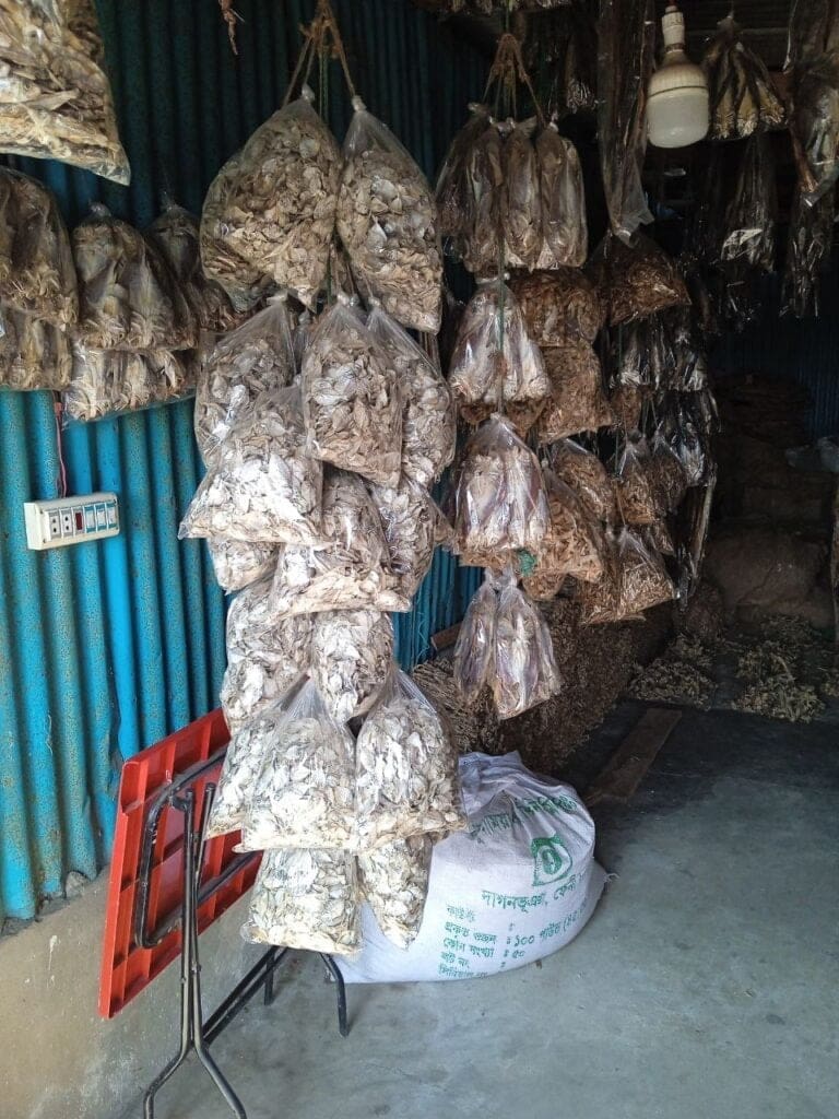 photo 2023 12 28 12 41 54