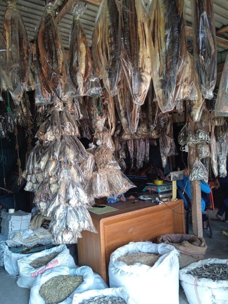 photo 2023 12 28 12 41 57