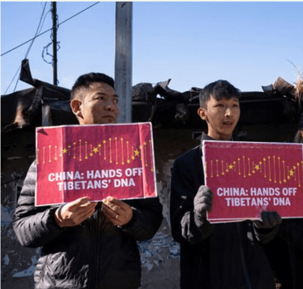 1d4335a0 9507 43c0 bc13 168fcce25bd4