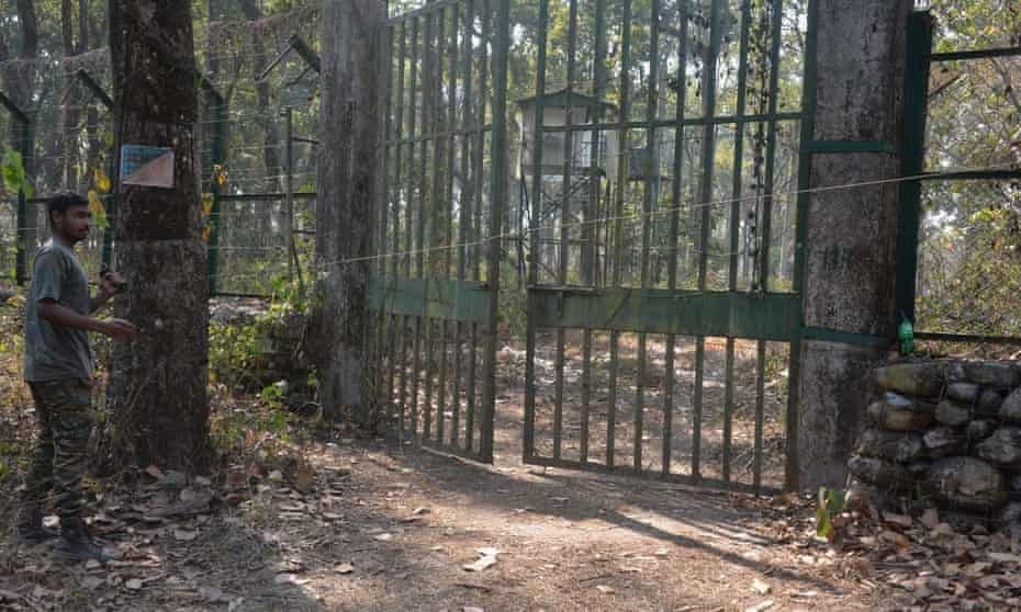 الهندوس يذهبون إلى المحكمة للاعتراض على أسد يحمل اسم الإمبراطور المسلم في الهند 1 أسد