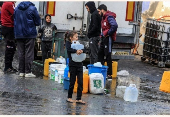 photo 2024 02 03 11 20 54