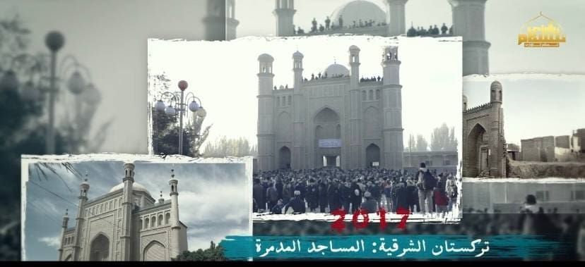 photo 2024 02 05 22 09 07