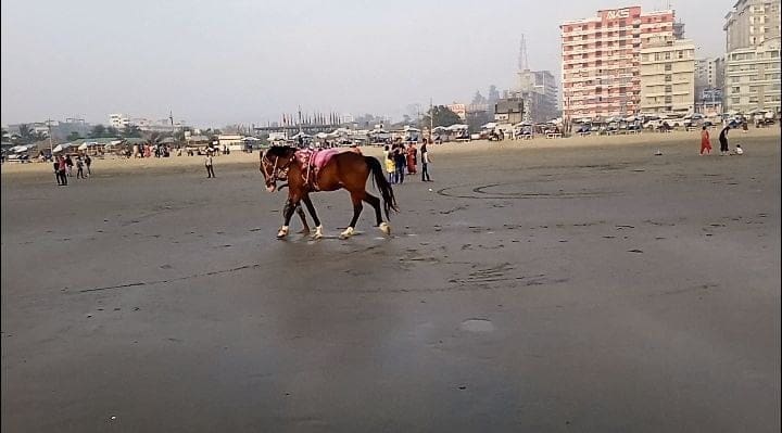 "وصل" تتفقد مخيمات اللاجئين الروهينجا في بنغلاديش خلال شهر رمضان 51 photo 2024 03 17 07 47 44 4