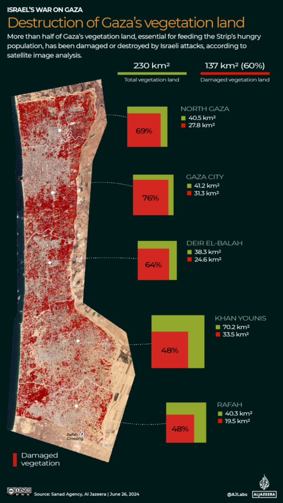 INTERACTIVE Destruction of Gazas vegetation land 1719404745