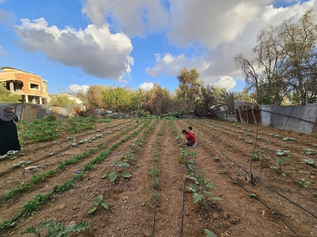 IMG 20240920 160500 267