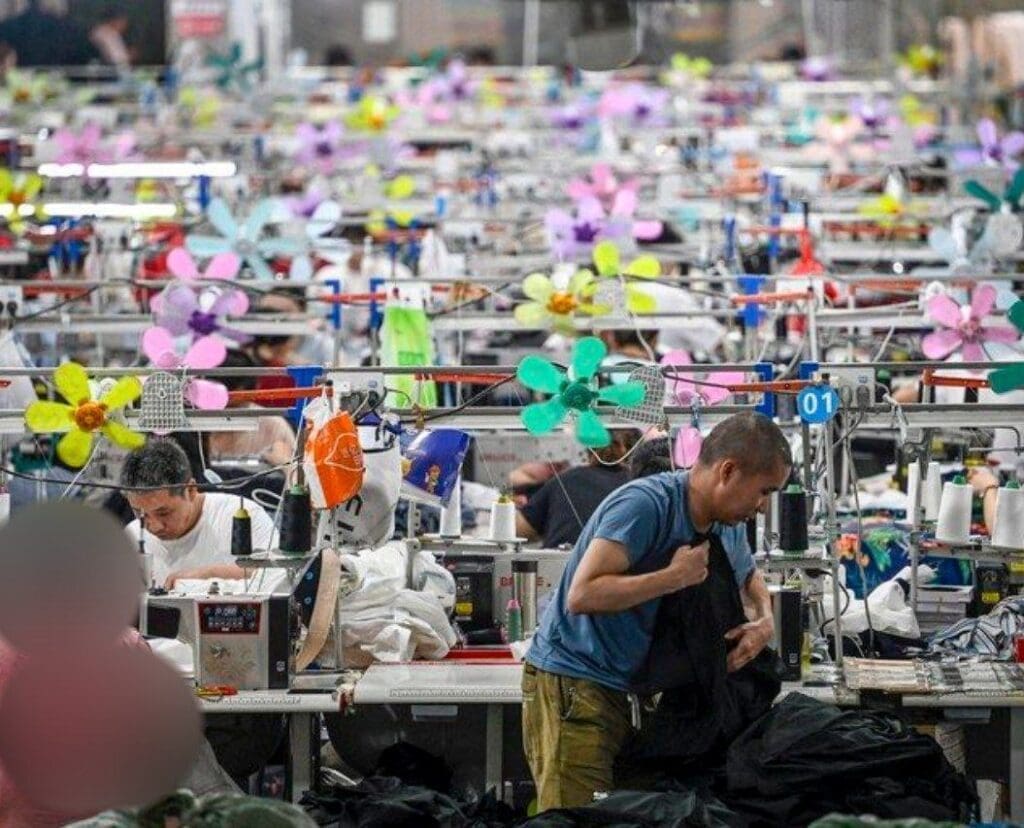 IMG 20240920 165254 200 1