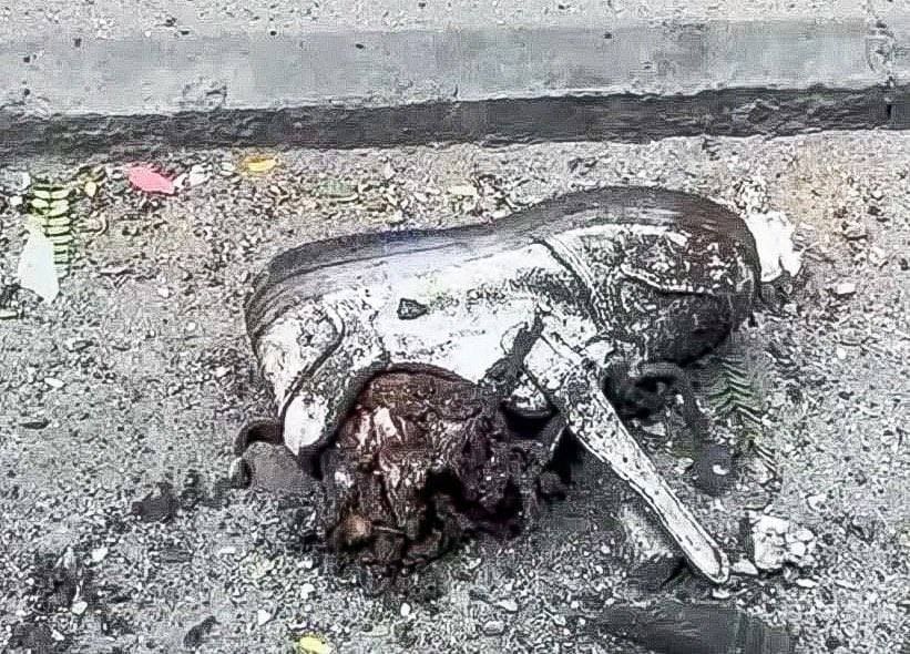 IMG 20240927 151747 355