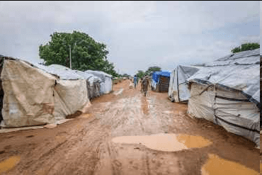 تقرير وصل الأسبوعي للعالم الإسلامي: أبرز أحداث الأسبوع الثاني من شهر ربيع الأول 24 image 105