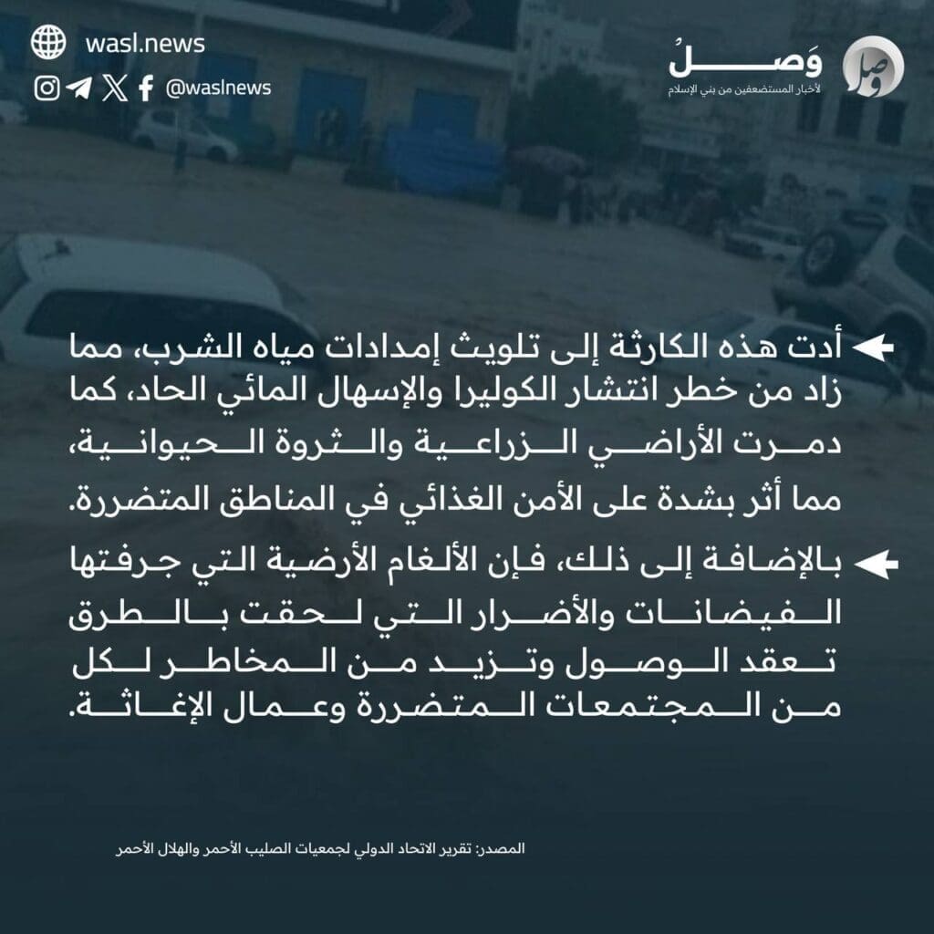 photo 2024 09 06 14 23 18