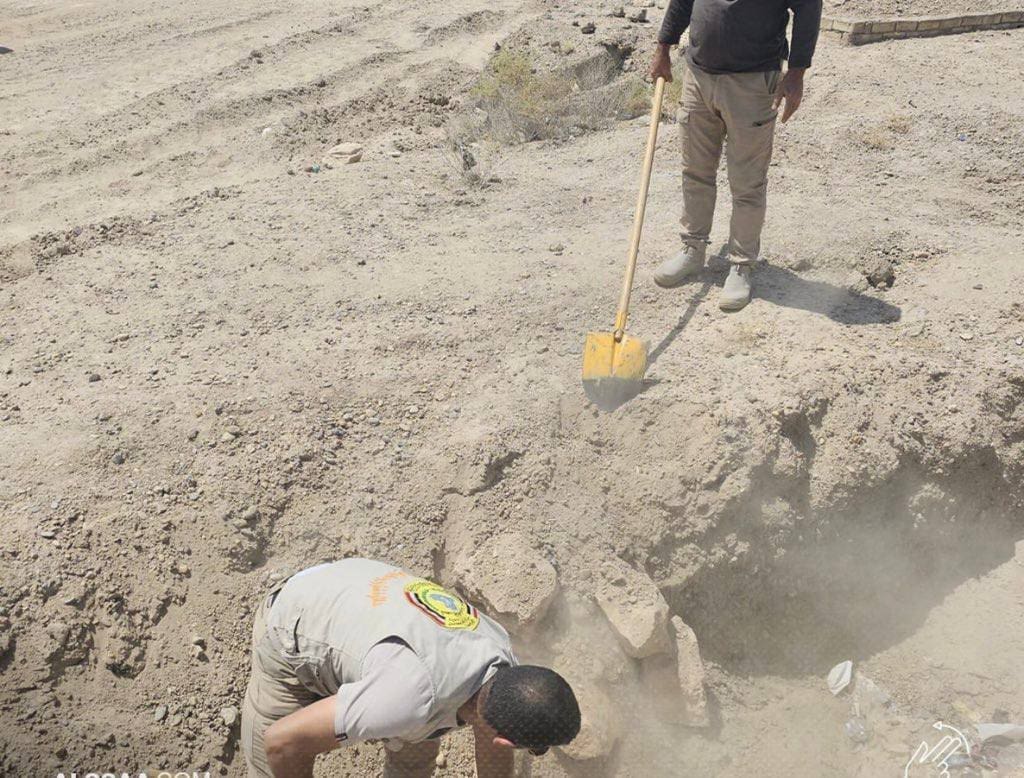 photo 2024 09 06 16 13 53