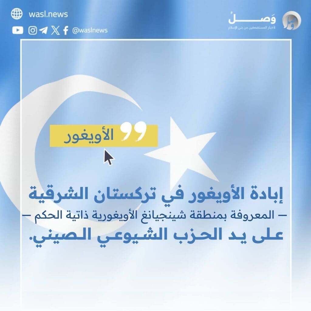 photo 2024 09 13 13 03 50