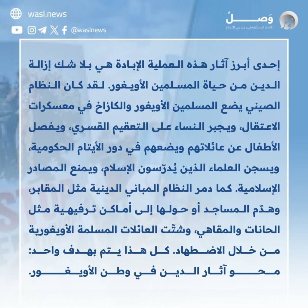 photo 2024 09 13 13 03 53