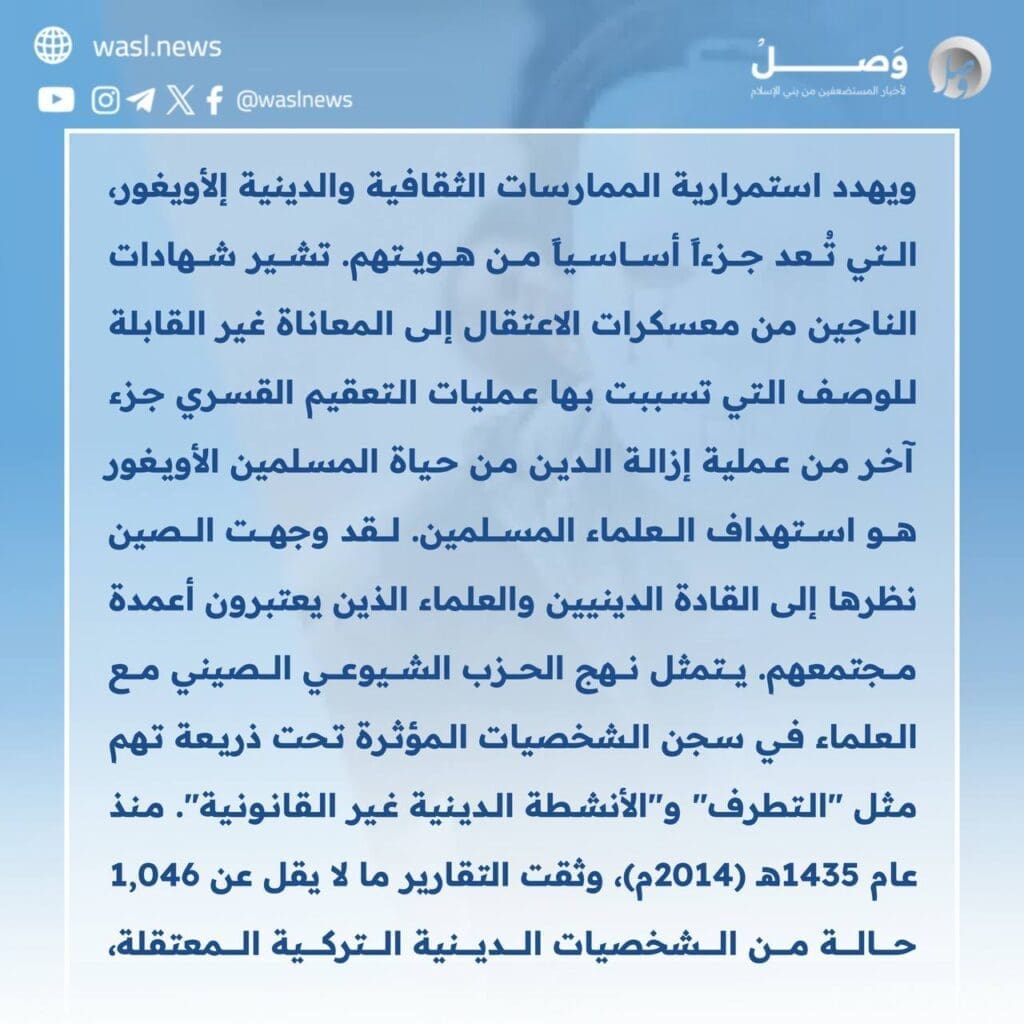 photo 2024 09 13 13 03 59