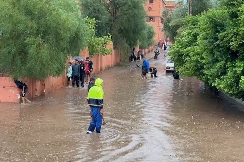 photo 2024 09 13 13 16 28