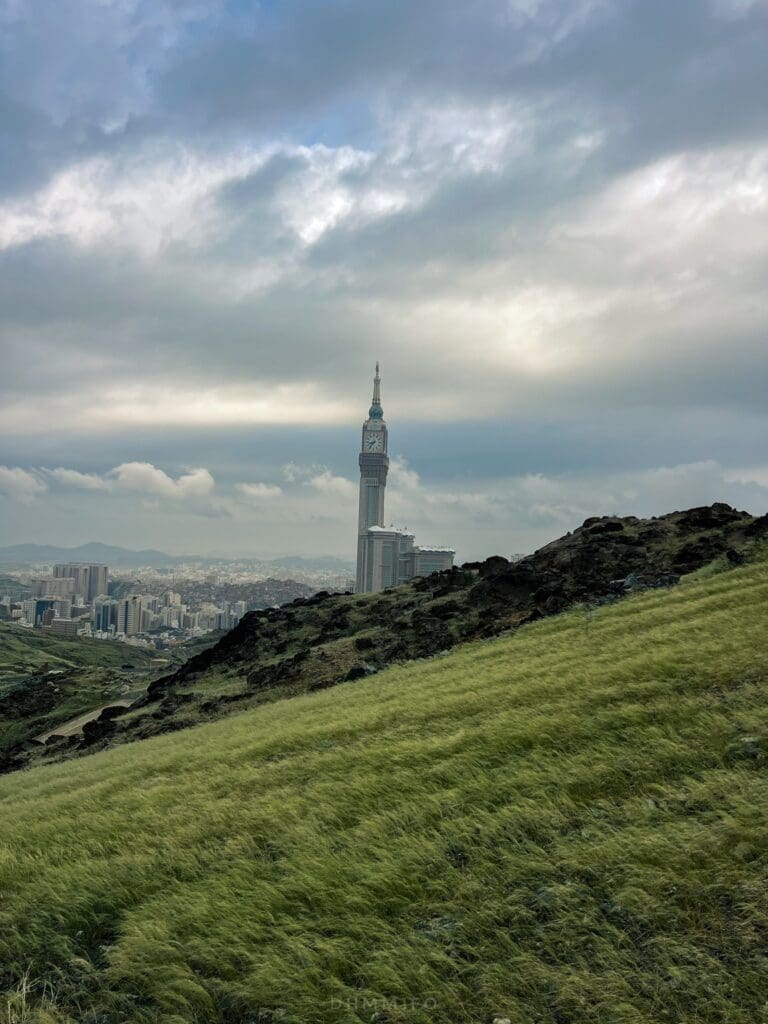 ٢٠٢٤٠٩٢٠ ١٦٤٥١٧ 1