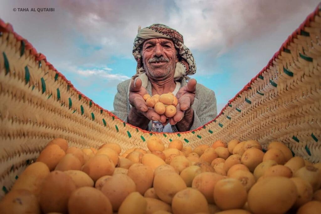 ٢٠٢٤١٠٠٤ ١٦٥٧٢٦