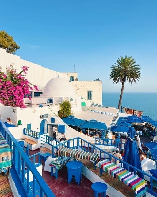 5273d1ba6c6ae69c1bbb7f3a5275a032