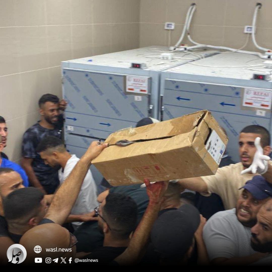 IMG 20241004 163537 785