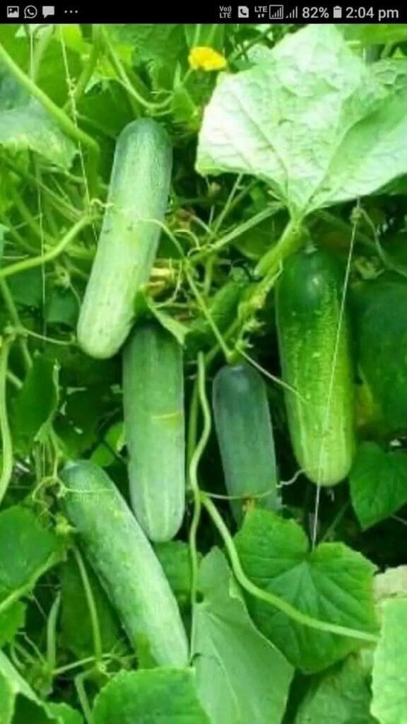 photo 2024 10 11 15 51 24