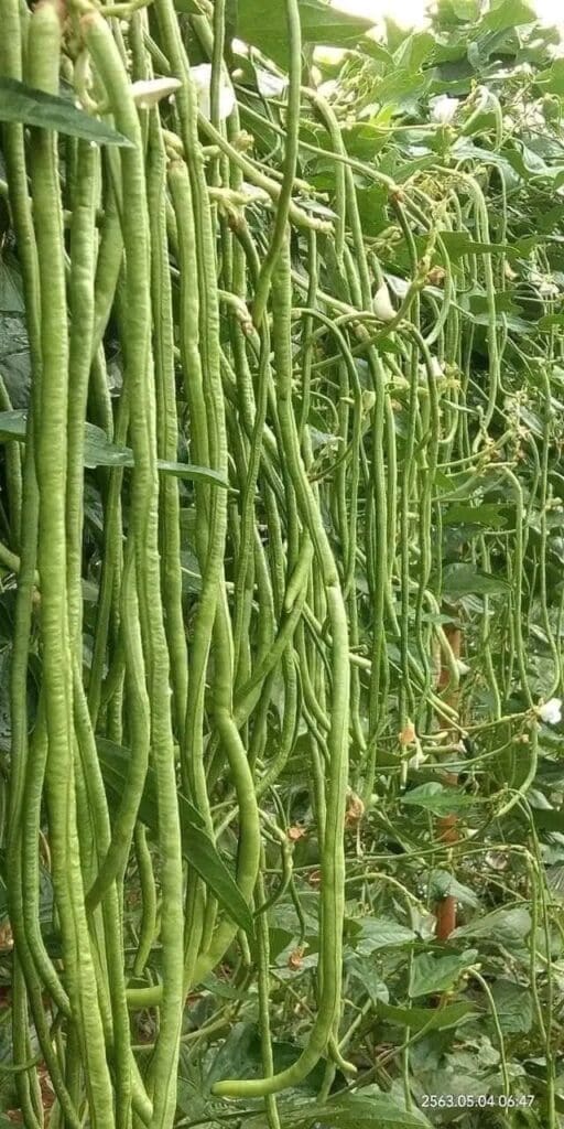 photo 2024 10 11 15 51 30