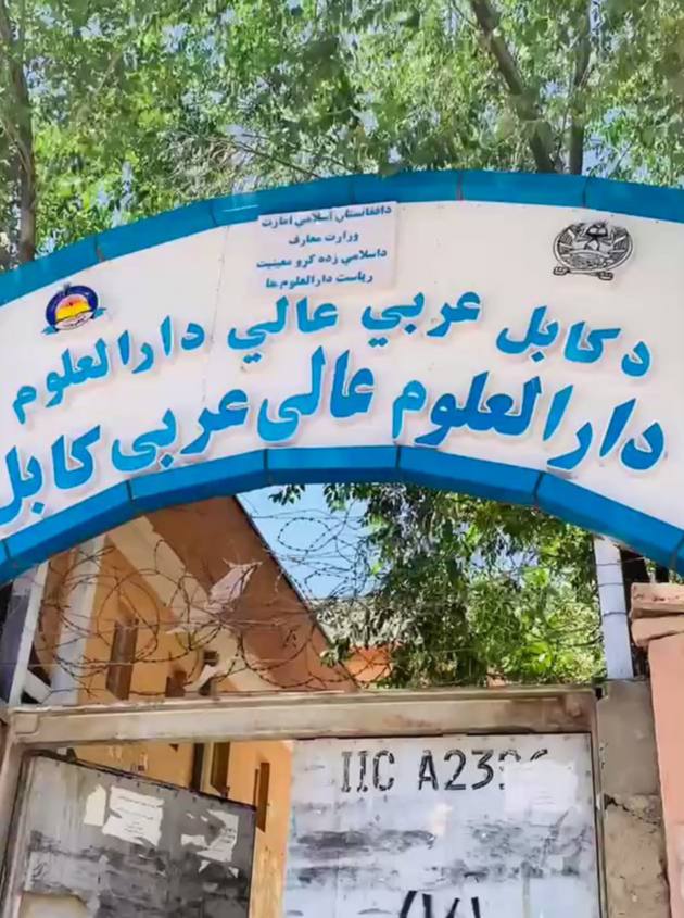 photo 2024 11 05 11 20 41