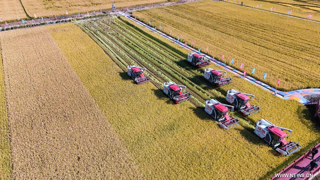 202409236b7076de5541497cb1e1d21a710842e8 20240923f0b863753a494c418e45ae0be4d82dfc