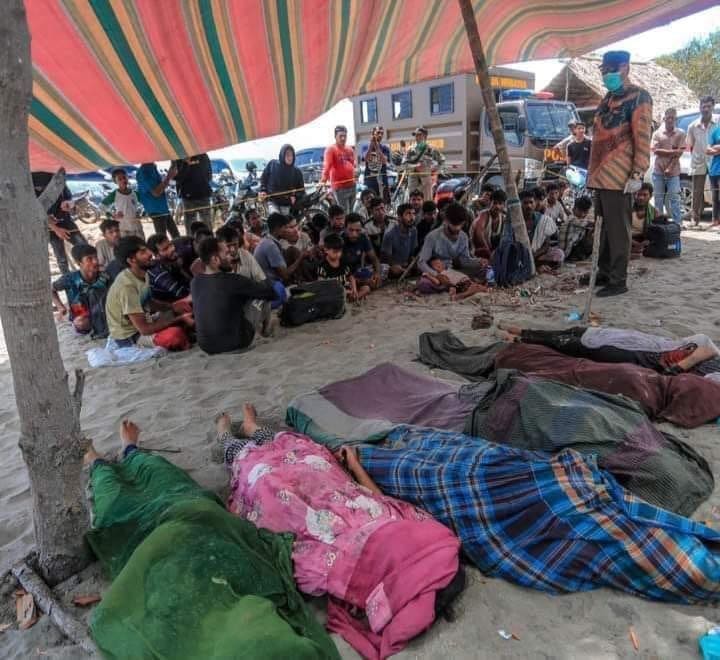 IMG 20241108 170626 372