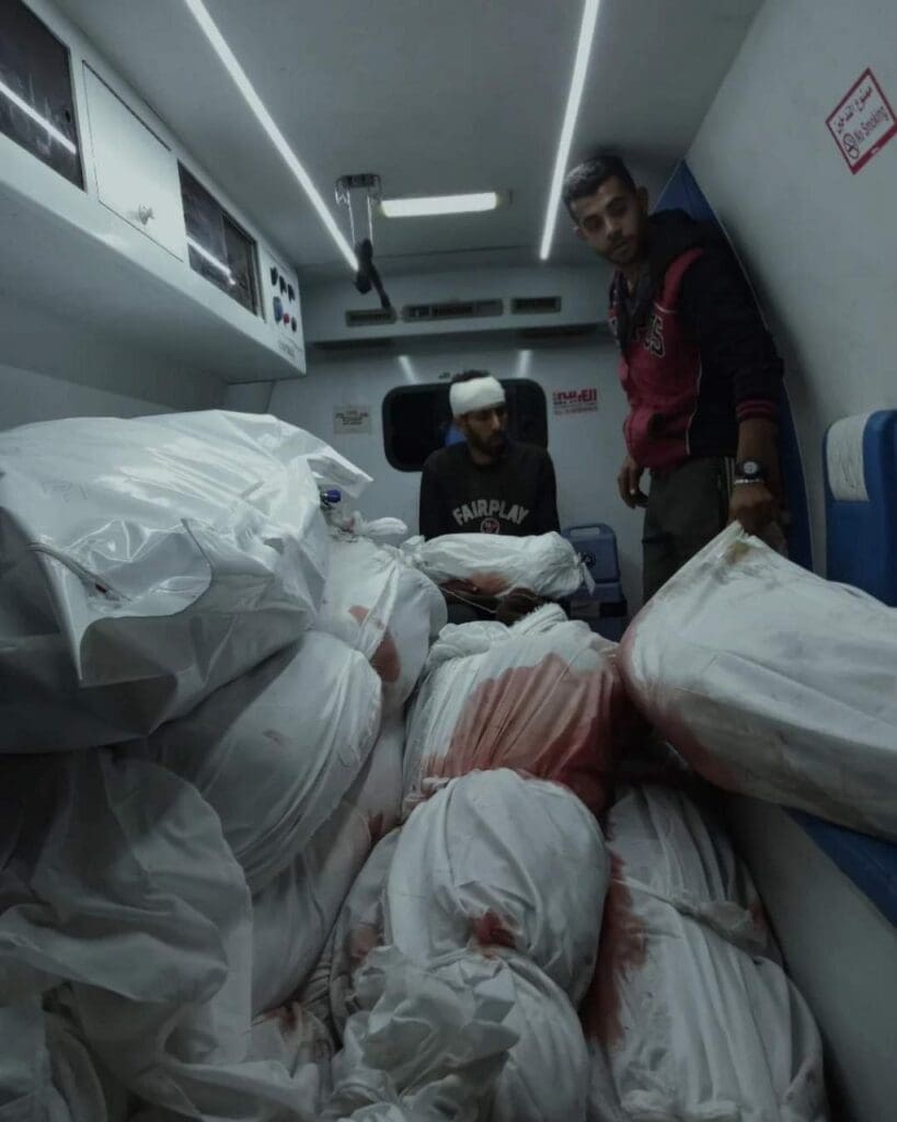 IMG 20241108 170945 615