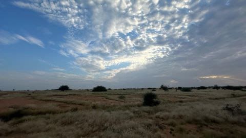 IMG 20241108 171242 038