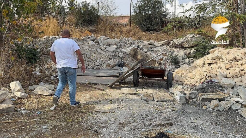 IMG 20241108 171424 344