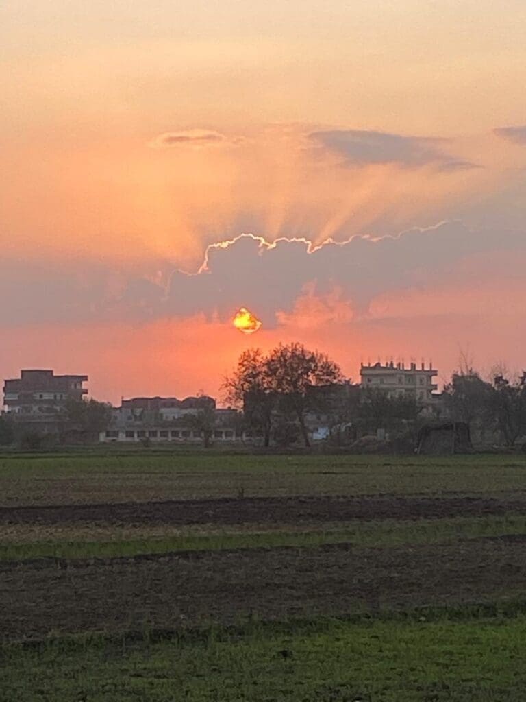 IMG 20241108 172601 870