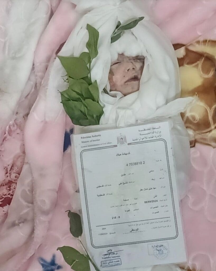 Screenshot ٢٠٢٤١١٠٨ ١٧١٦٠٠ Telegram