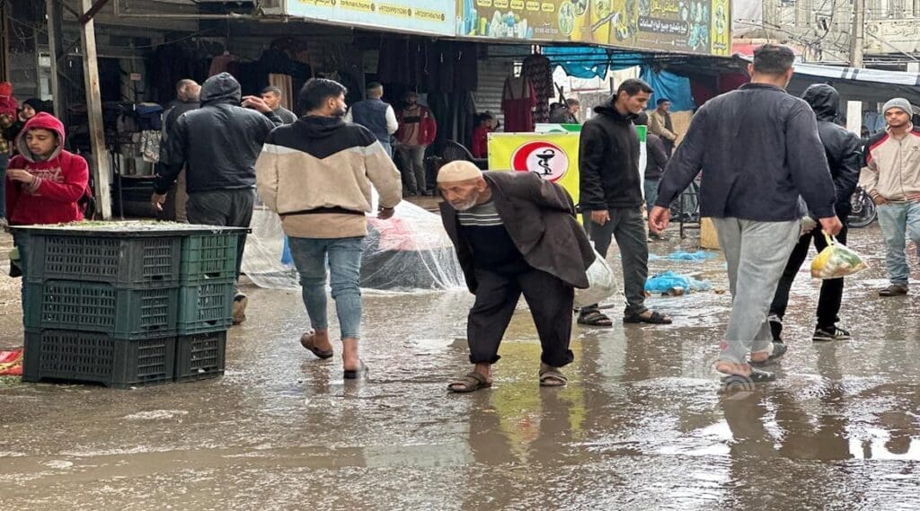 م