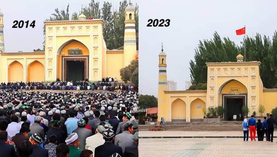 ٢٠٢٤١١٠٨ ١٧٣٣٣٢