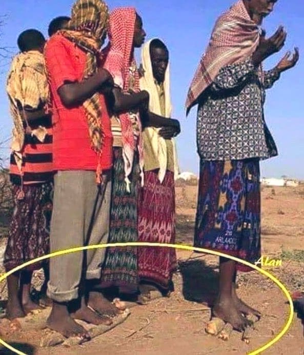 ٢٠٢٤١١٠٨ ١٧٣٧٣٢