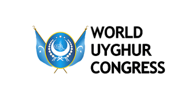 Screenshot 2024 12 11 105541