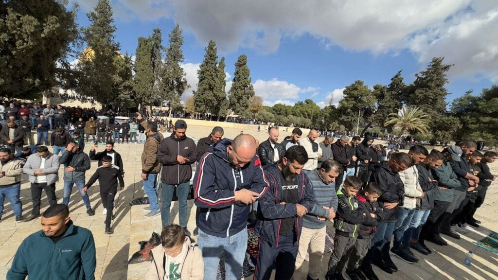 photo ٢٠٢٤ ١٢ ١٣ ١٢ ٤٦ ٠٨