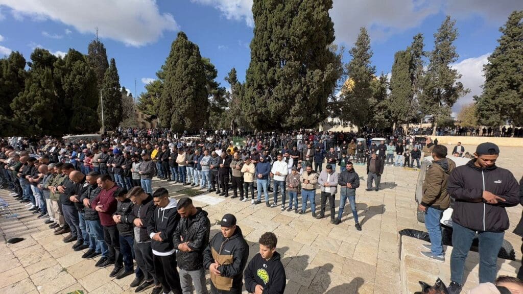 photo ٢٠٢٤ ١٢ ١٣ ١٢ ٤٦ ٠٩