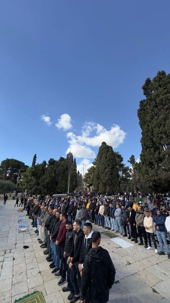 photo ٢٠٢٤ ١٢ ١٣ ١٢ ٤٦ ٠٩ 2