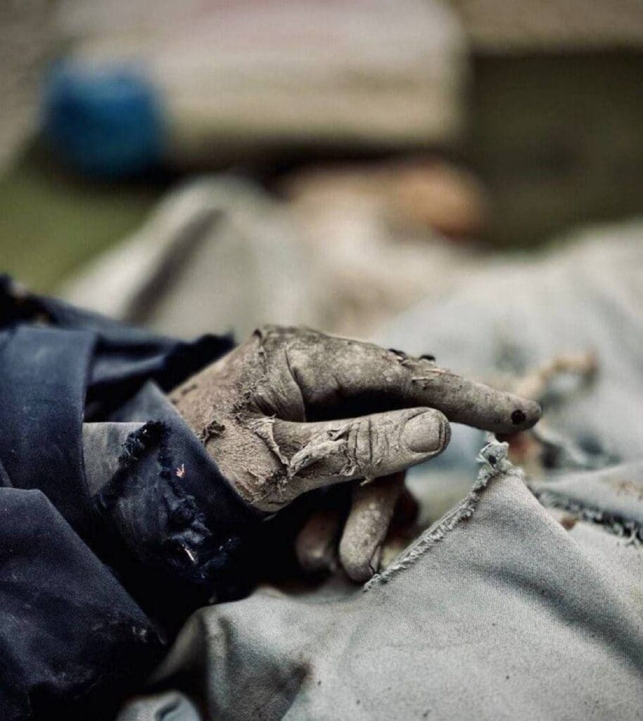 photo 2024 12 20 11 24 33