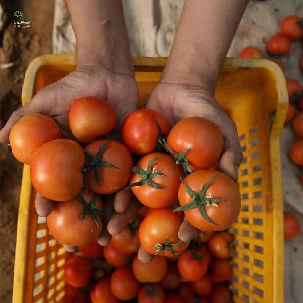 photo 2024 12 20 11 25 09