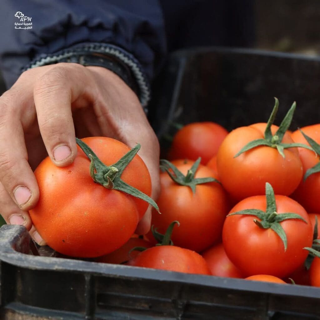 photo 2024 12 20 11 25 14