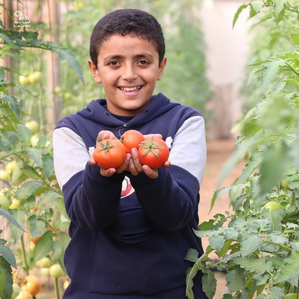 photo 2024 12 20 11 25 17