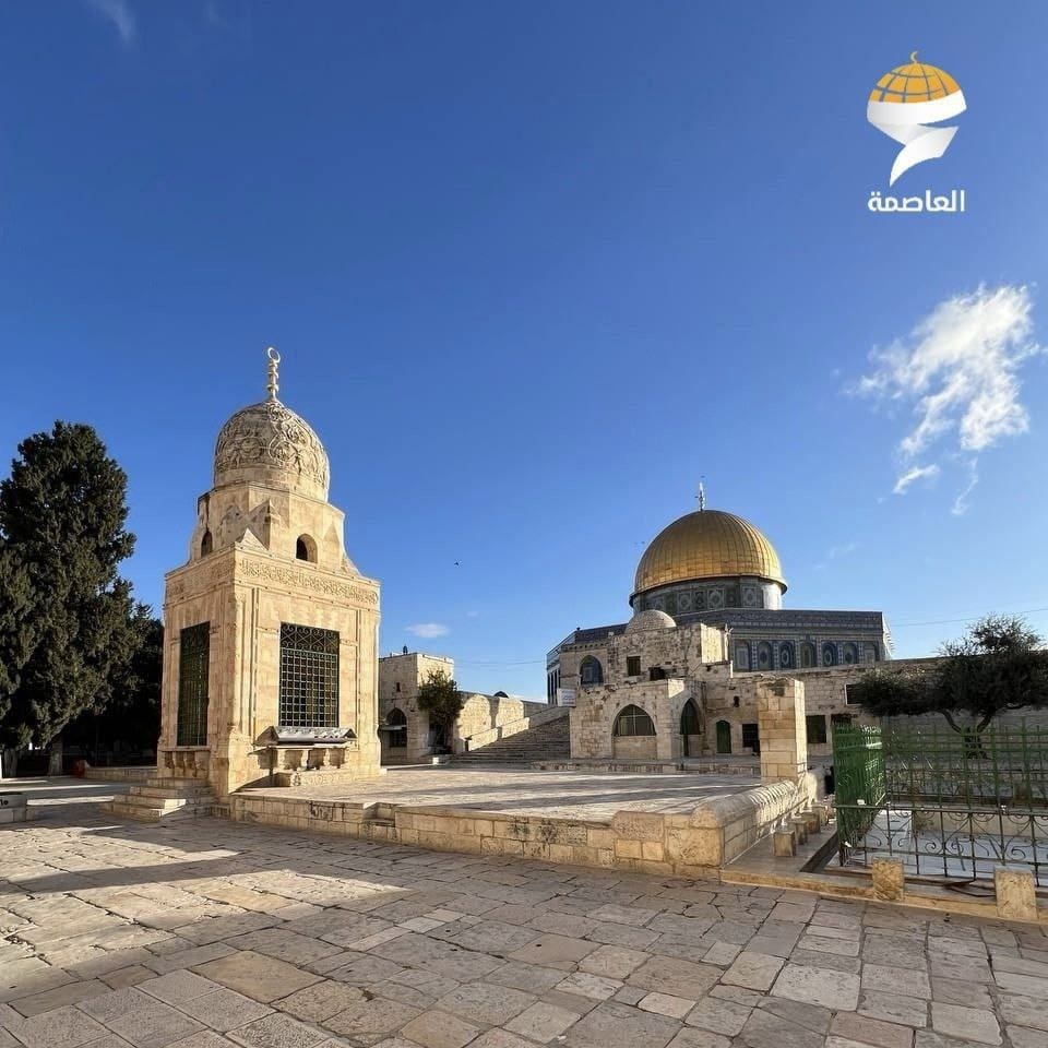 photo 2024 12 20 11 27 59