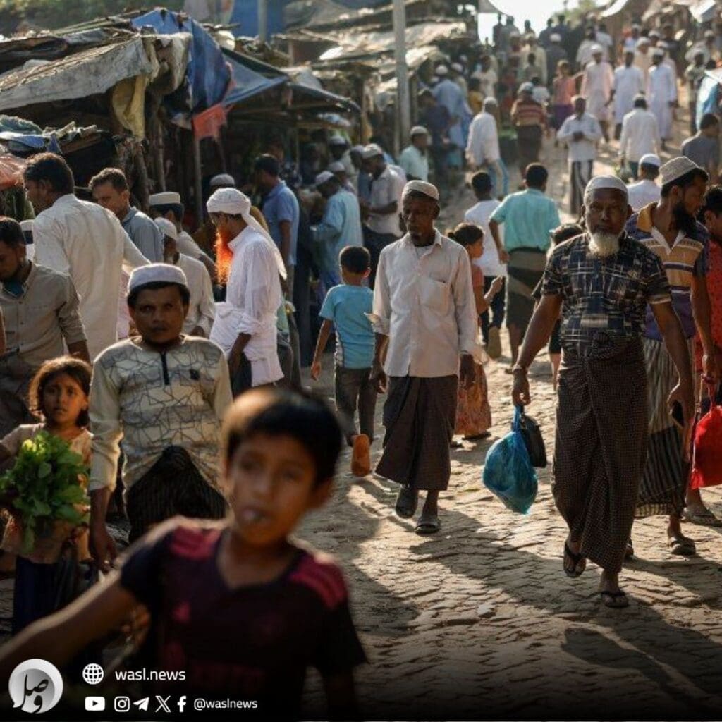 photo 2024 12 20 11 35 54