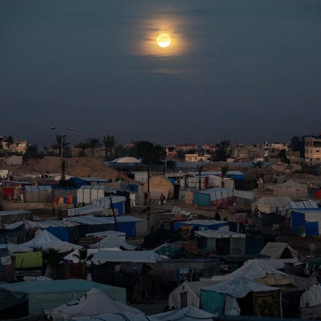 photo 2024 12 20 11 40 48