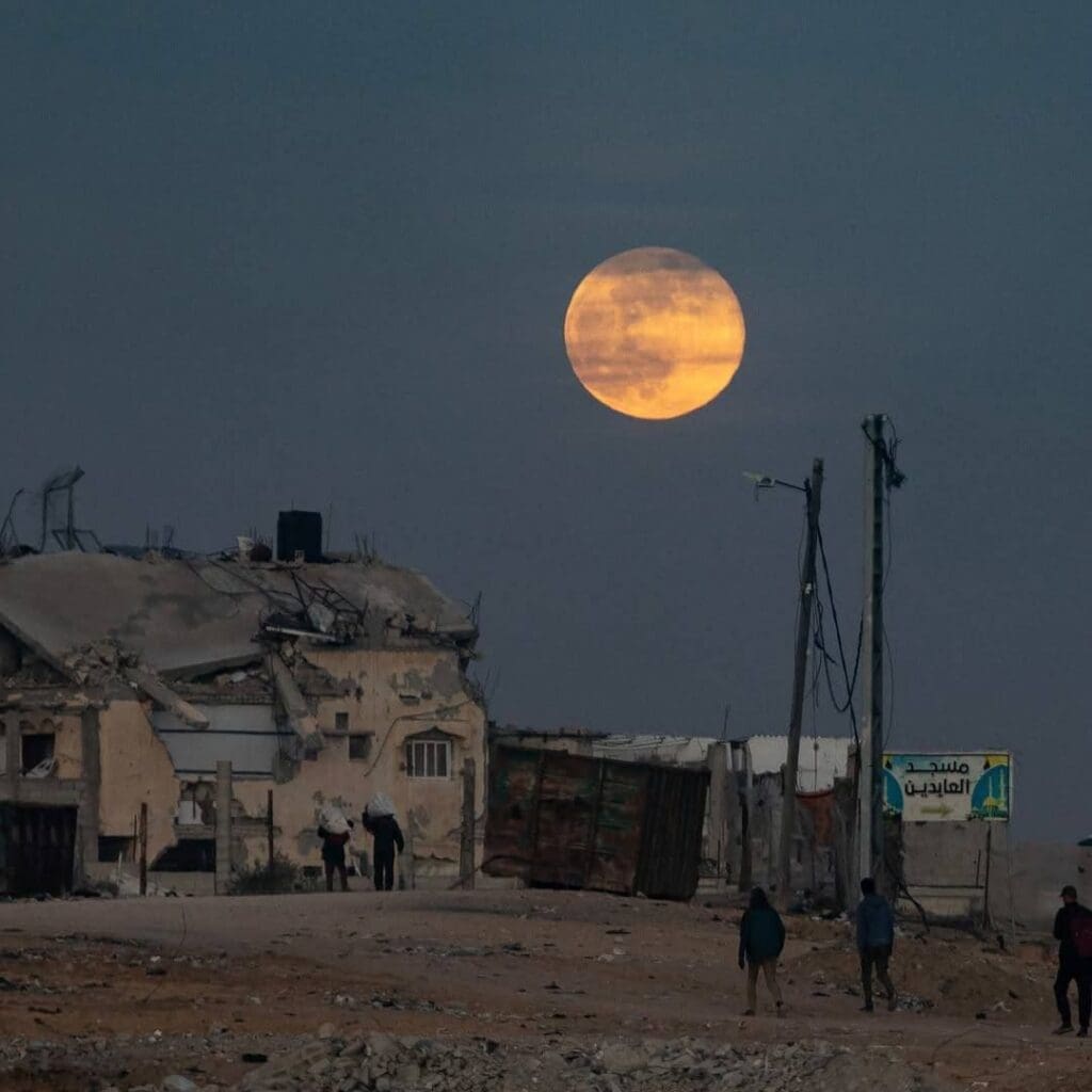 photo 2024 12 20 11 40 51